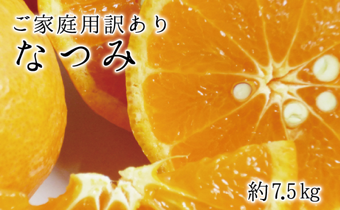 ご家庭用訳アリ 初夏のみかん なつみ7 5kg 22年4月中旬 22年4月下旬頃に順次発送予定 お届け日指定不可 和歌山県北山村 セゾンのふるさと納税