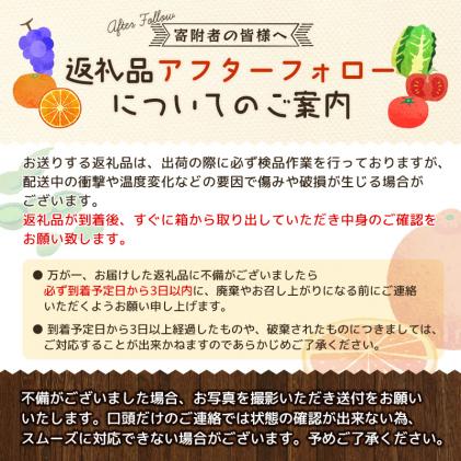 先行予約受付】和歌山県産の美味しい梨 約2kg (6～8玉入り)【2023年8月