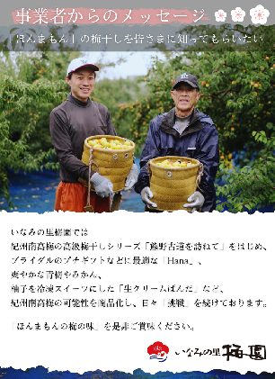 和歌山県北山村のふるさと納税 【ご家庭用】最高級紀州南高梅 はちみつ・桃風味 大粒 食べ比べセット 700g×2