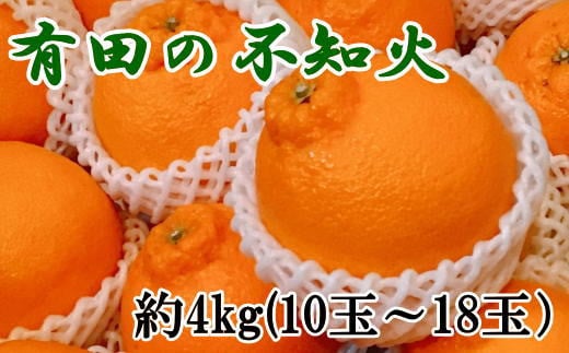 [濃厚]有田の不知火約4kg(10玉〜18玉おまかせ) ※2025年2月上旬〜2025年3月下旬頃に順次発送予定(日付指定不可)