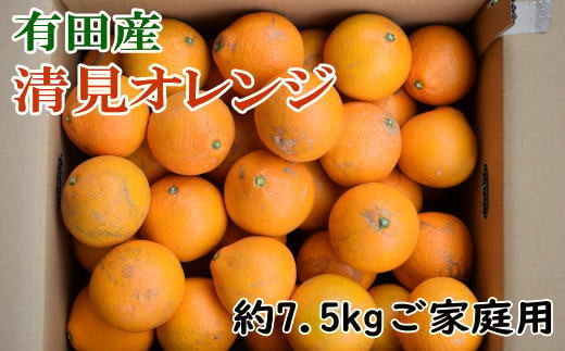 [訳ありご家庭用]有田産清見オレンジ約7.5kg(サイズおまかせまたは混合)