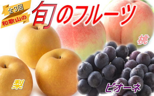 [全3回定期便]和歌山の旬のフルーツ定期便!人気の桃・ピオーネ・梨をお届け♪