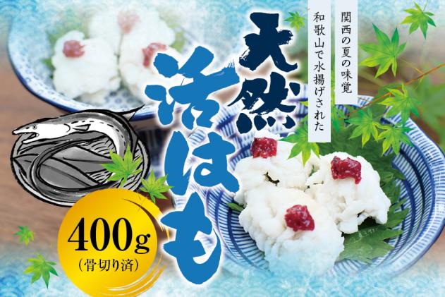 国産 骨切り済み 天然活はも 400g 鱧 ハモ 湯引き 和歌山県産 天ぷら しゃぶしゃぶ 鍋