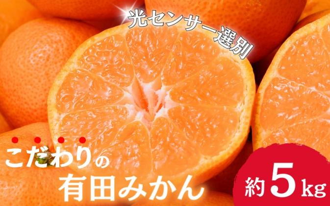 [2024年12月発送予約分]＼光センサー選別/農家直送 こだわりの 有田みかん 約5kg+250g(傷み補償分) [ご家庭用][11月発送]みかん ミカン 有田みかん 温州みかん 柑橘 有田 和歌山 ※北海道・沖縄・離島配送不可/みかん ミカン 有田みかん 温州みかん 柑橘 有田 和歌山 産地直送[nuk160-2A]