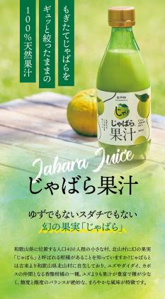 和歌山県北山村のふるさと納税 じゃばら果汁360ml×2本