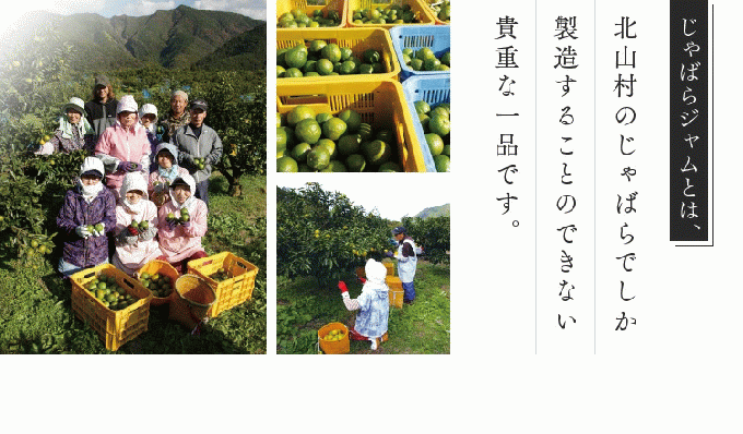和歌山県北山村のふるさと納税 じゃばらジャム 140g×2個