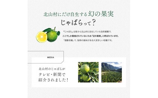 和歌山県北山村のふるさと納税 じゃばらスタッフおすすめセット