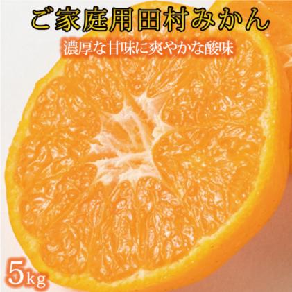 和歌山県北山村のふるさと納税 【ご家庭用訳あり】田村みかん　5kg ※2024年11月下旬頃～2025年1月下旬頃に順次発送(お届け日指定不可)