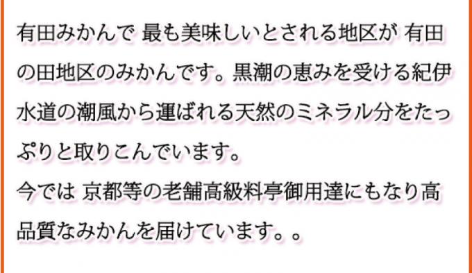 和歌山県北山村のふるさと納税 【ご家庭用訳あり】田村みかん　5kg ※2024年11月下旬頃～2025年1月下旬頃に順次発送(お届け日指定不可)