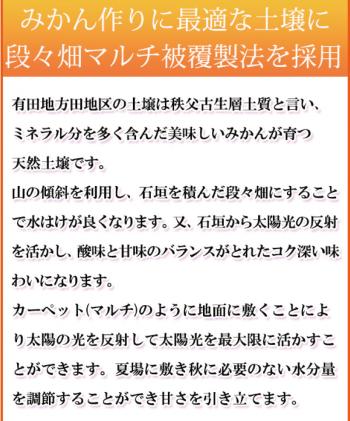 和歌山県北山村のふるさと納税 【ご家庭用訳あり】田村みかん　5kg ※2024年11月下旬頃～2025年1月下旬頃に順次発送(お届け日指定不可)