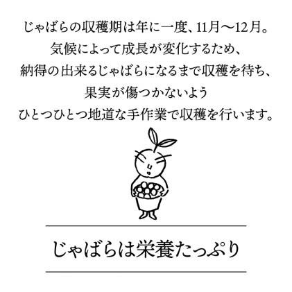 和歌山県北山村のふるさと納税 【期間限定】じゃばら果実(5キロ) 【予約受付/11月下旬より順次発送】