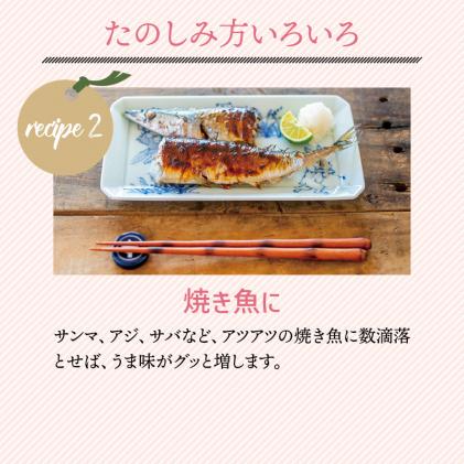 和歌山県北山村のふるさと納税 【期間限定】じゃばら果実(5キロ) 【予約受付/11月下旬より順次発送】