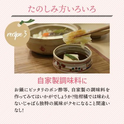 和歌山県北山村のふるさと納税 【期間限定】じゃばら果実(5キロ) 【予約受付/11月下旬より順次発送】
