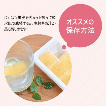 和歌山県北山村のふるさと納税 【期間限定】じゃばら果実(5キロ) 【予約受付/11月下旬より順次発送】