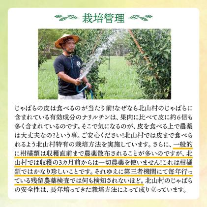 和歌山県北山村のふるさと納税 【期間限定】じゃばら果実(5キロ) 【予約受付/11月下旬より順次発送】