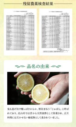 和歌山県北山村のふるさと納税 【期間限定】じゃばら果実(5キロ) 【予約受付/11月下旬より順次発送】