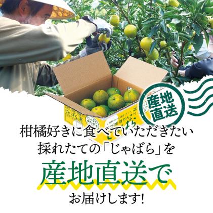 和歌山県北山村のふるさと納税 【期間限定】じゃばら果実(5キロ) 【予約受付/11月下旬より順次発送】