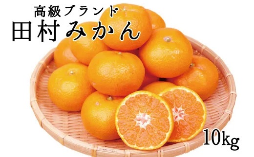 高級ブランド田村みかん 10kg 予約 21年11月下旬 22年1月下旬頃に順次発送予定 お届け日指定不可 和歌山県北山村 セゾンの ふるさと納税