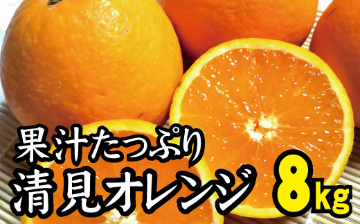 オレンジ 清見