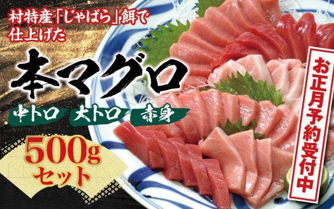 和歌山県北山村のふるさと納税 お正月に間に合う! 本マグロ(養殖)トロ&赤身セット500g 【12月26日～30日に発送】