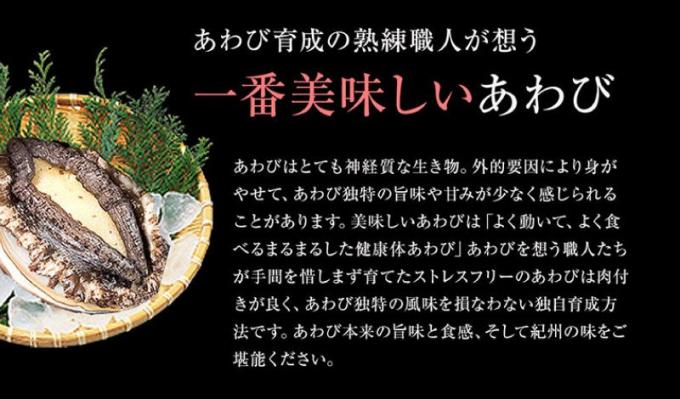 極上 紀州蝦夷鮑 8個 五つ星旅館にも出荷される極上アワビ 和歌山県北山村 セゾンのふるさと納税