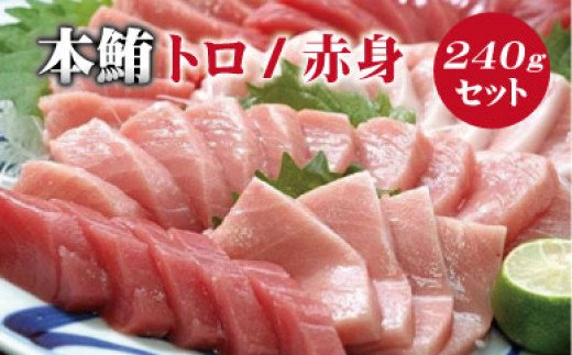 和歌山県北山村のふるさと納税 【串本町×北山村】 本マグロ(養殖)トロ&赤身セット 240g