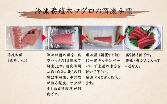 和歌山県北山村のふるさと納税 お正月に間に合う! 本マグロ(養殖)トロ&赤身セット500g 【12月26日～30日に発送】