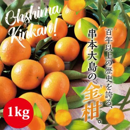 [フルーツ王国 和歌山県からお届け]串本大島のキンカン 1kg (2L〜L) 金柑 きんかん 果実 フルーツ 国産 和歌山