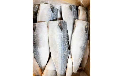 【ご家庭用】大容量!塩さばフィレ 2kg/さば サバ 鯖 フィレ 切り身 切身 魚 海鮮 焼き魚 おかず|