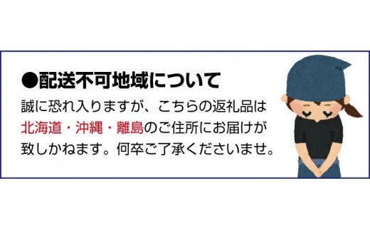 産直・人気の特産品】和歌山の桃 約2kg・秀選品(2024年度発送分)※2024