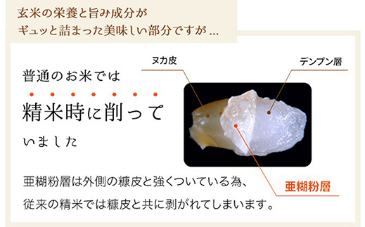 島根県安来市のふるさと納税 BG無洗米・金芽米にこまる 5kg×3回 定期便【隔月】【令和6年産 定期便 2ヶ月に1回 6ヶ月 時短 健康】