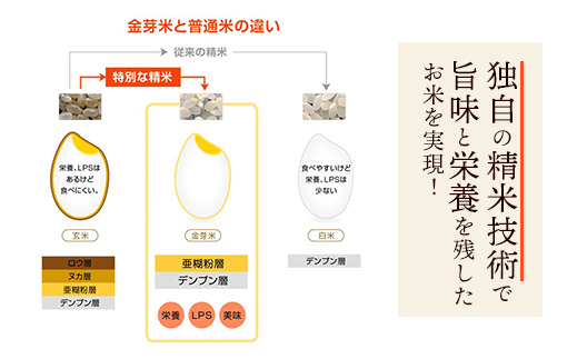 島根県安来市のふるさと納税 BG無洗米・金芽米にこまる 5kg×3回 定期便【隔月】【令和6年産 定期便 2ヶ月に1回 6ヶ月 時短 健康】