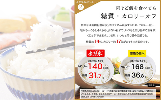 島根県安来市のふるさと納税 BG無洗米・金芽米にこまる 5kg×3回 定期便【隔月】【令和6年産 定期便 2ヶ月に1回 6ヶ月 時短 健康】