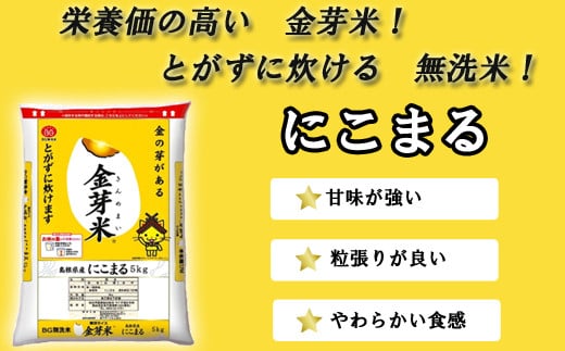 島根県安来市のふるさと納税 BG無洗米・金芽米にこまる 5kg×3回 定期便【隔月】【令和6年産 定期便 2ヶ月に1回 6ヶ月 時短 健康】