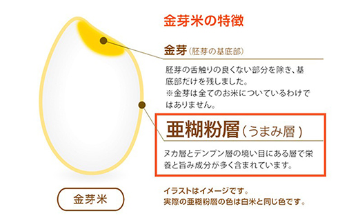 島根県安来市のふるさと納税 BG無洗米・金芽米つや姫 2kg×6ヵ月 定期便【毎月】【令和6年産 定期便 6ヶ月 時短 健康】