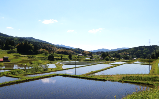 島根県安来市のふるさと納税 BG無洗米・金芽米つや姫 2kg×6ヵ月 定期便【毎月】【令和6年産 定期便 6ヶ月 時短 健康】