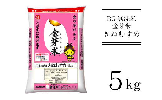 BG無洗米・金芽米きぬむすめ 5kg [ 新米 令和6年産 節水 低カロリー 健康]