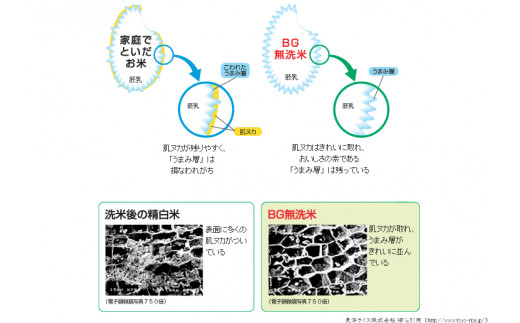 島根県安来市のふるさと納税 BG無洗米コシヒカリ　5kg×6ヵ月　定期便　【毎月】【定期便 6ヶ月 時短 愛を米 米 BG 無洗米 こしひかり 6回 半年 島根県産 令和6年産 新生活応援 お試し 節水 時短 アウトドア キャンプ 東洋ライス 】