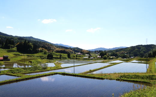 島根県安来市のふるさと納税 BG無洗米コシヒカリ　5kg×3回　定期便　【隔月】【3回 2ヶ月に1回 愛を米 米 BG 無洗米 こしひかり 6ヶ月 3回 2ヶ月に1回 島根県産 令和6年産 新生活応援 お試し 節水 時短 アウトドア キャンプ 東洋ライス】