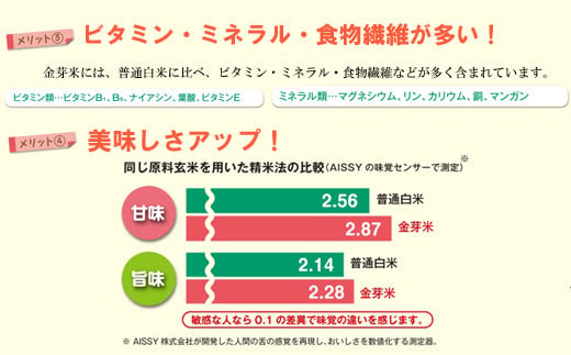 島根県安来市のふるさと納税 BG無洗米・金芽米にこまる 5kg 【新米 令和6年産 時短  健康 】