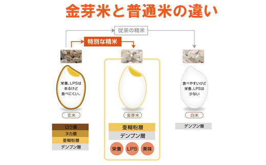 島根県安来市のふるさと納税 BG無洗米・金芽米つや姫 5kg 【新米 令和6年産 時短 健康 特別栽培米】