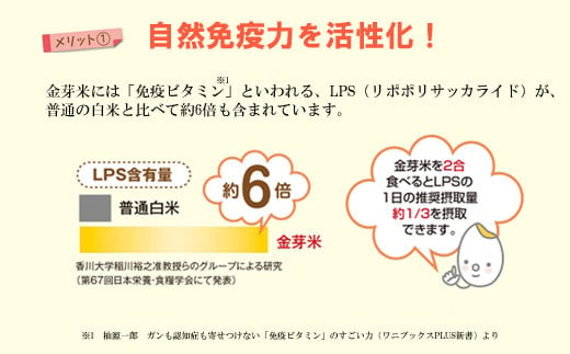 島根県安来市のふるさと納税 BG無洗米・金芽米つや姫 5kg 【新米 令和6年産 時短 健康 特別栽培米】