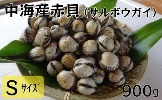 中海産赤貝(サルボウガイ)Sサイズ 900g[赤貝 中海産]