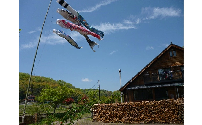 広島県三原市のふるさと納税 薪ストーブに最適!しっかり暖かい「カシ・クヌギ」乾燥薪(30cm)24kg×3セット 002003