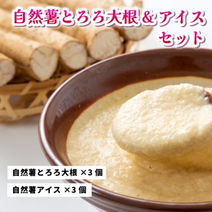 コクがあるのに後味すっきり!自然薯アイスクリーム&とろろ大根おろしセット(6個入り)[配達不可:離島] 029002