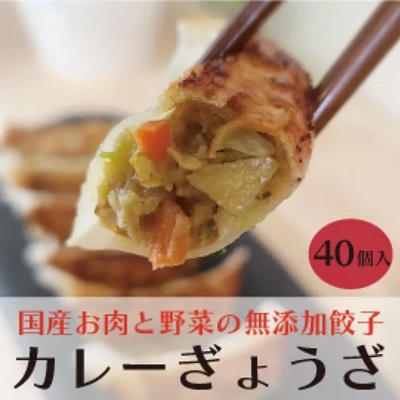 広島県三原市のふるさと納税 paoの無添加餃子「カレーぎょうざ」640g(約40個) 餃子 ギョーザ 惣菜 冷凍 中華 点心 おかず おつまみ 国産野菜 カレー風味 058006