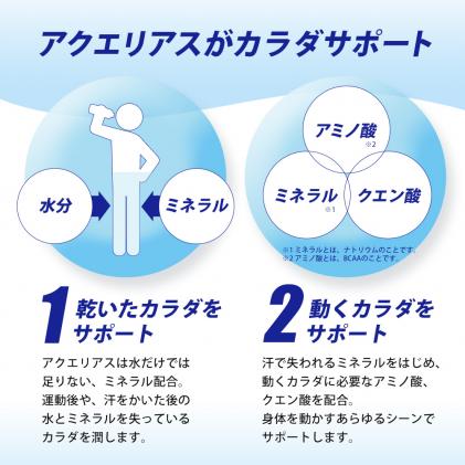 広島県三原市のふるさと納税 アクエリアスゼロ PET 500ml×48本(24本×2ケース) スポーツドリンク スポーツ飲料 清涼飲料水 水分補給 カロリーゼロ ペットボトル 箱買い まとめ買い 014021