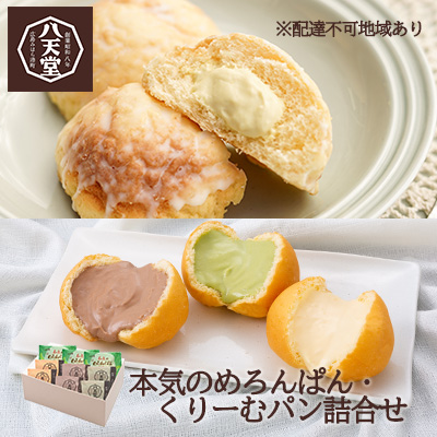 八天堂 本気のめろんぱん・くりーむパン9個詰合せ(4種) 菓子パン