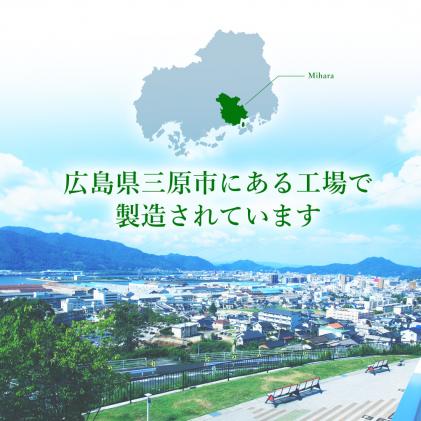 広島県三原市のふるさと納税 ジョージアザ・ブラックPET 500ml 24本(1ケース) ペットボトル コーヒー 飲料 箱買い まとめ買い 014030