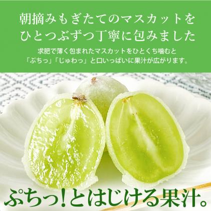 広島県三原市のふるさと納税 好評にて夏の定番商品化 決定! ひとつぶのシャインマスカット (20個入) 晴王 求肥 共楽堂　018013